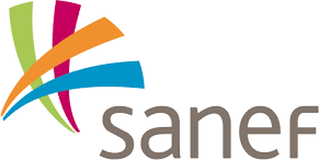 08-SanefLogo