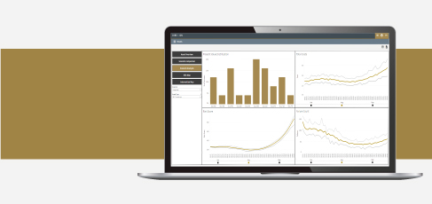 Project Portfolio Optimization