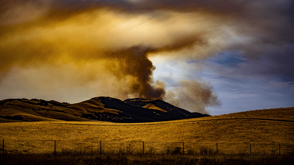 Wildfire risk in Texas