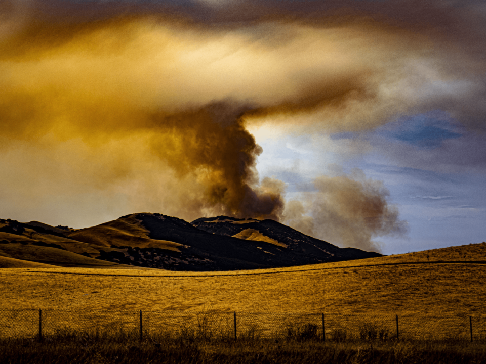 Wildfire risk in Texas