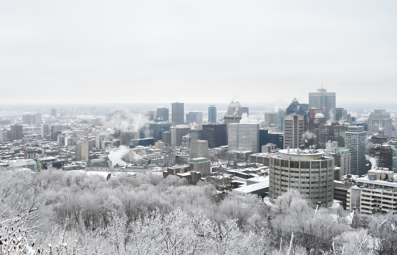 Snowy winter view of the downtown Montreal skyline from Mount Royal, with frost-covered trees in the foreground and steam rising from buildings under an overcast sky